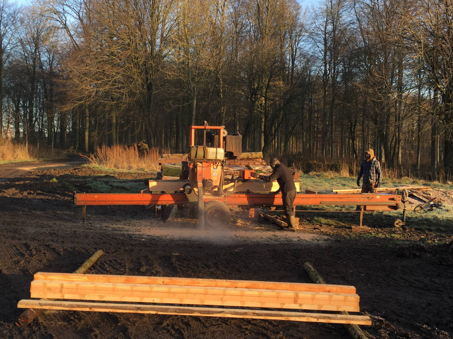 project management footprint forestry woodland forest management sustainability christopher guest edward mills quality and productivity stability tree climate change biodiversity