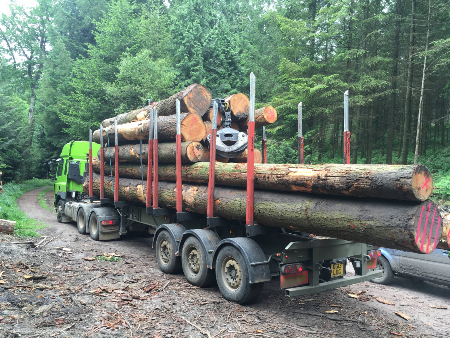 13 harvesting marketing footprint forestry woodland forest management sustainability christopher guest edward mills horse
