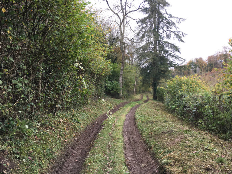 3 project management footprint forestry woodland forest management sustainability christopher guest edward mills quality and productivity stability tree climate change biodiversity