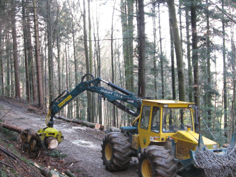 2 harvesting marketing footprint forestry woodland forest management sustainability christopher guest edward mills quality and productivity stability tree climate change biodiversity