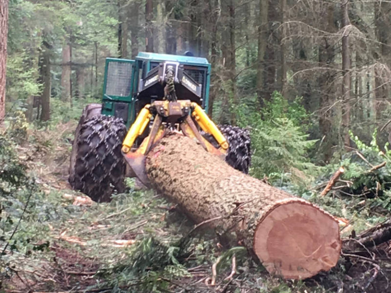 5 harvesting marketing footprint forestry woodland forest management sustainability christopher guest edward mills quality and productivity stability tree climate change biodiversity